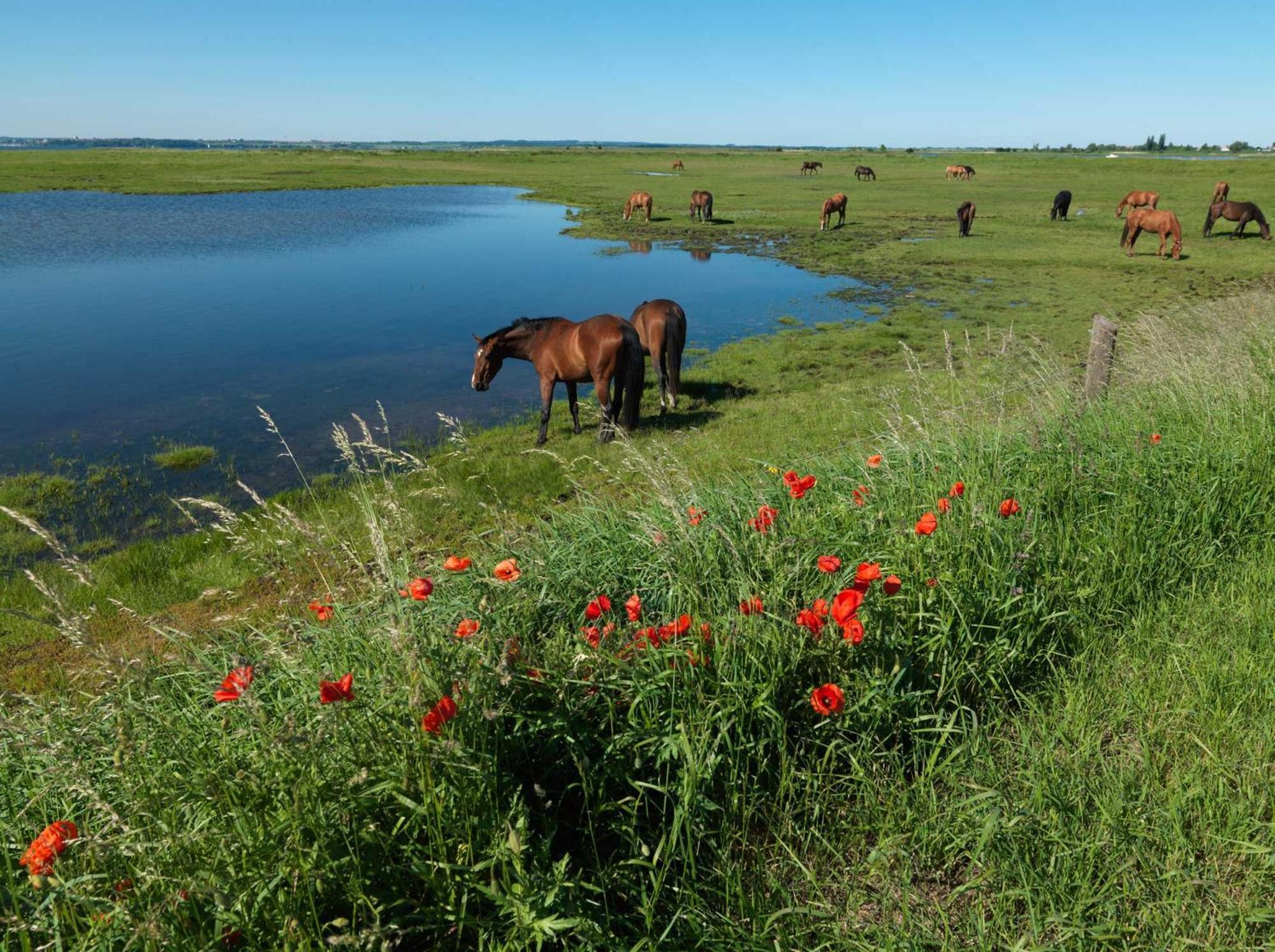 Inselhaeuser Kaltenhof Inselhaus Poel 1 Zewnętrze zdjęcie