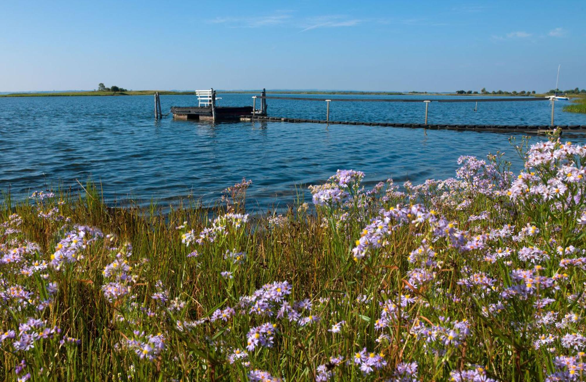 Inselhaeuser Kaltenhof Inselhaus Poel 1 Zewnętrze zdjęcie